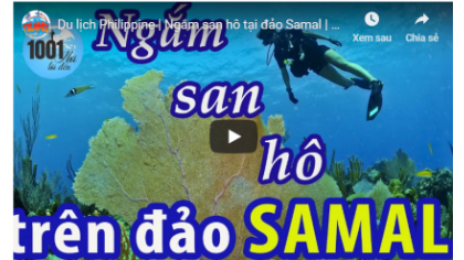 Ngắm san hô tại đảo Samal, Davao, Philippine