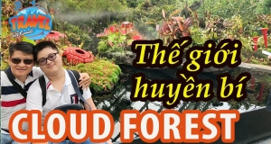 Cloud Forest huyền bí rừng mây - khu du lịch giải trí giữa phố thị ở Singapore 