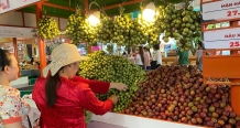 Khai mạc Lễ hội trái cây Nam Bộ lần thứ 22 (Suối Tiên Farm Fetival 2026)