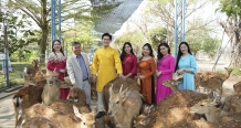 MỸ QUỲNH SAFARI – Miễn phí vé vào cổng cho trẻ em dưới 1m4