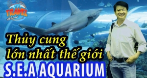 S.E.A Aquarium – Khám phá thủy cung lớn nhất thế giới tại Singapore