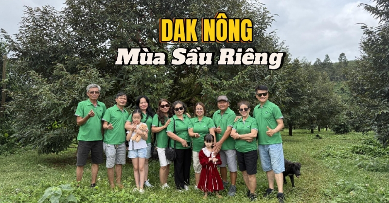 Thăm trang trại sầu riêng 150 tấn: Ri 6, Dona Thái và Musang King có gì khác biệt?