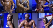 TITANS OF MUSCLES CHAMPIONSHIPS 2025 – đấu trường của những chiến binh cơ bắp