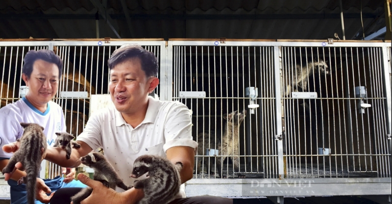 Trại chồn Hương Tân Thành Cà Mau - mô hình nông nghiệp truyền cảm hứng làm giàu cho nông dân