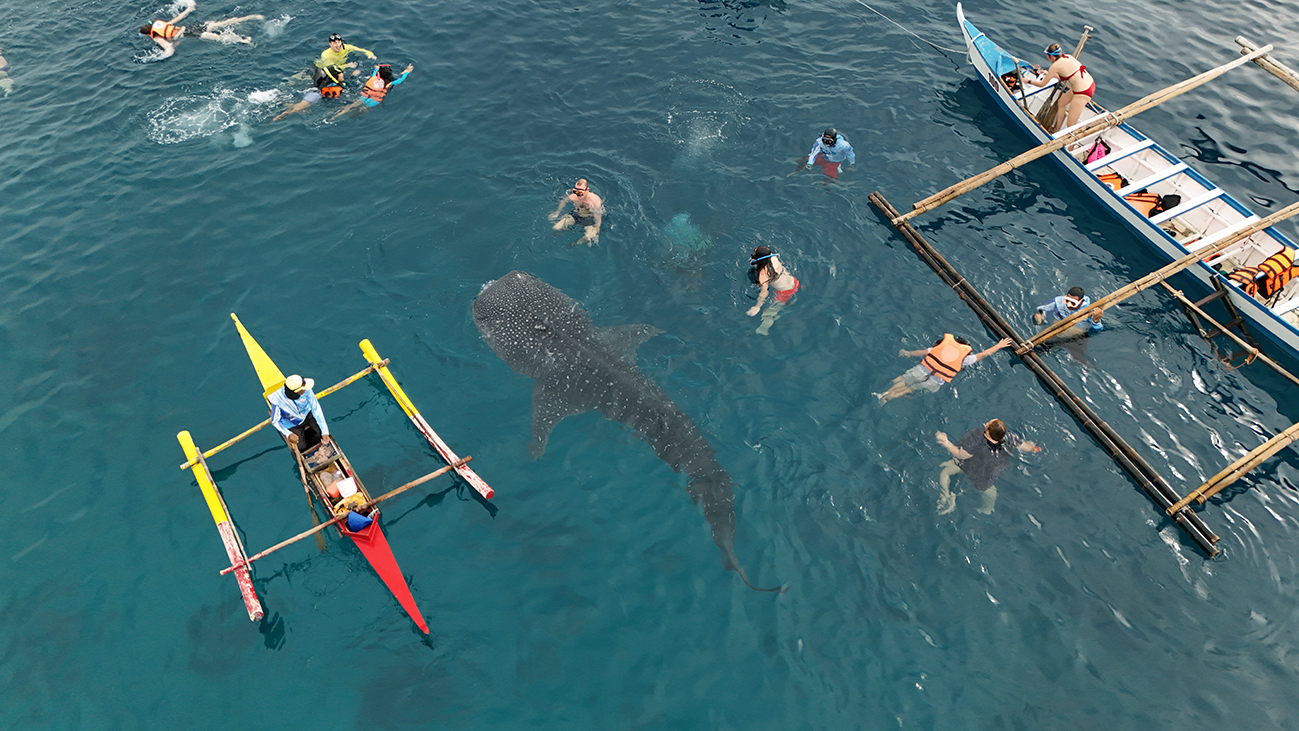 Hành trình hấp dẫn kết nối thiên nhiên giữa “Thiên đường biển” Cebu - Philippines