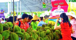 Lễ hội Trái cây Nam bộ 2018 diễn ra trong 3 tháng hè