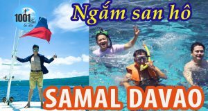 Ngắm san hô tại đảo Samal, Davao, Philippine