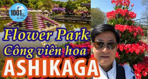 Ashikaga Flower Park - Công viên hoa Ashikaga đẹp nhất Nhật Bản